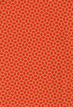 Revival Palm Orange